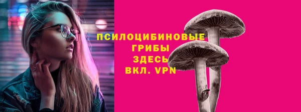 прущий лед Надым