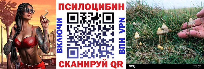 купить закладку  Любим  kraken маркетплейс  Псилоцибиновые грибы Magic Shrooms 